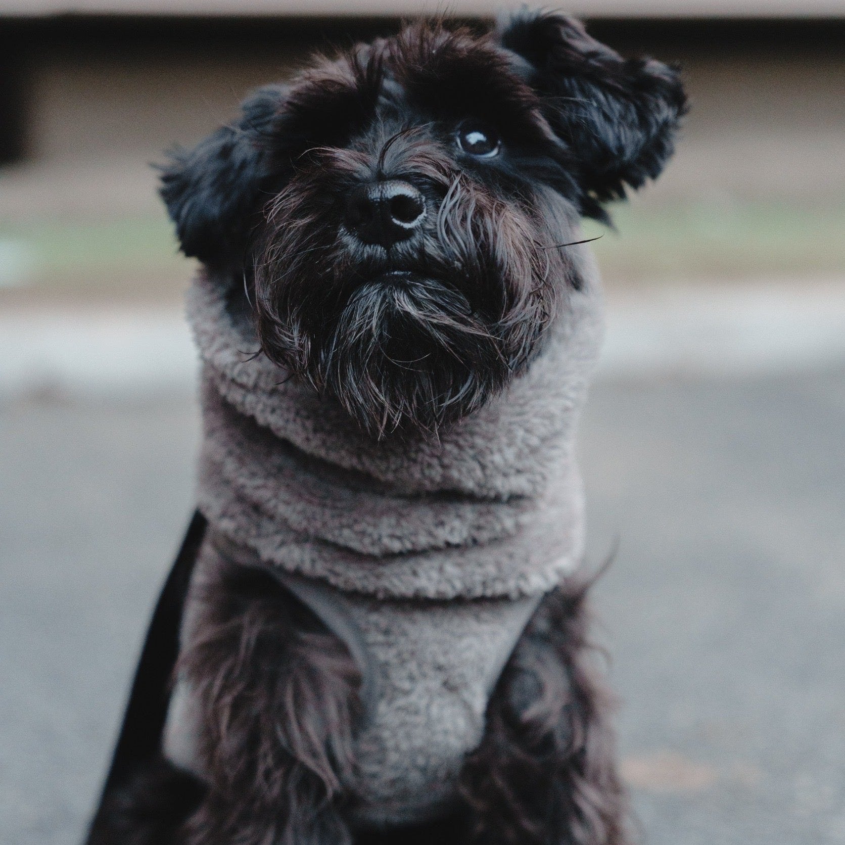 New ストレッチボアフリース T