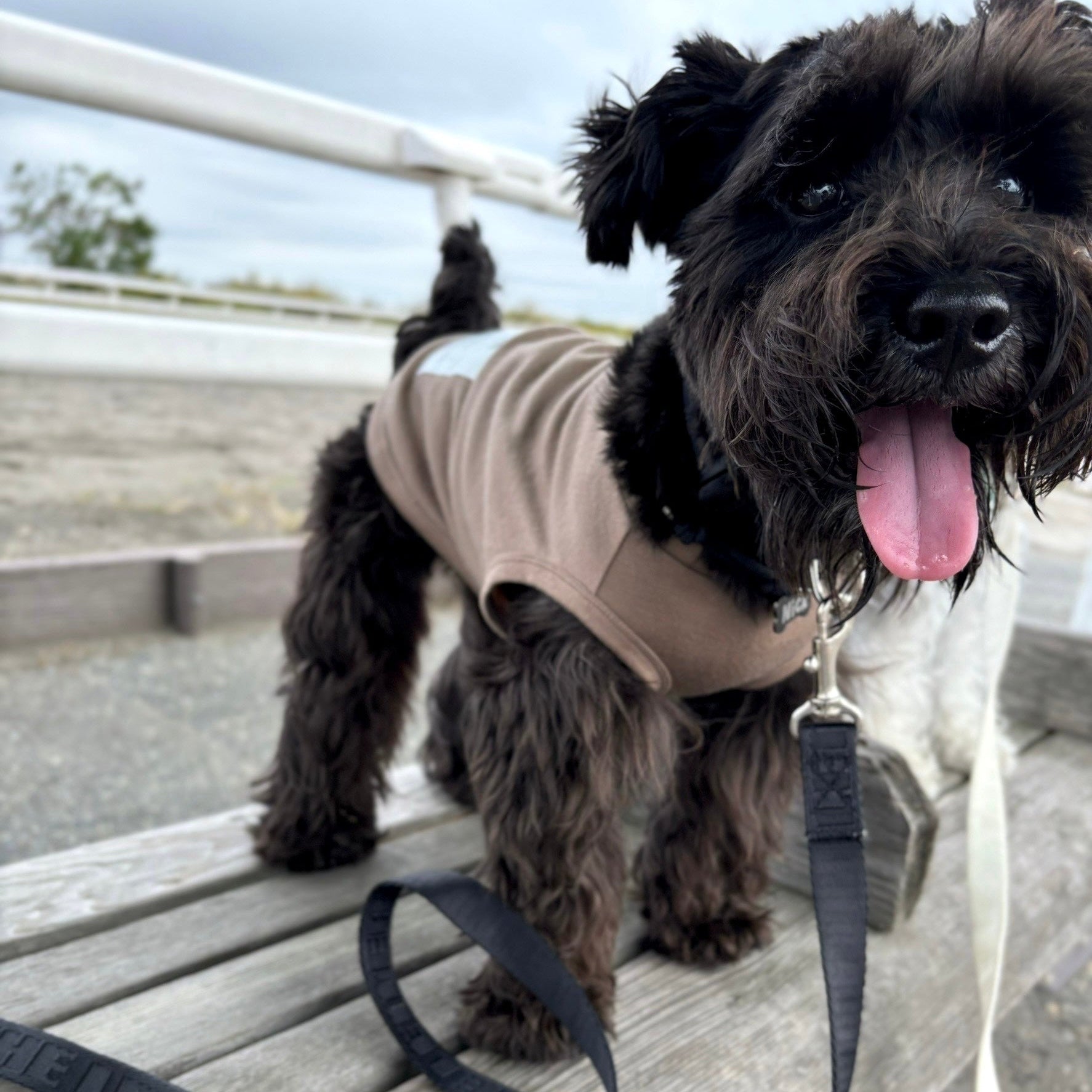 eco/THEスーパーストレッチ ウォーム T