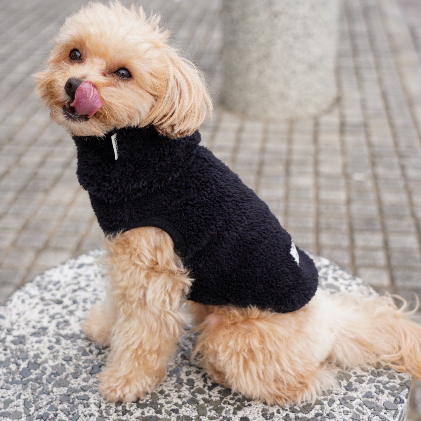 New ストレッチボアフリース T