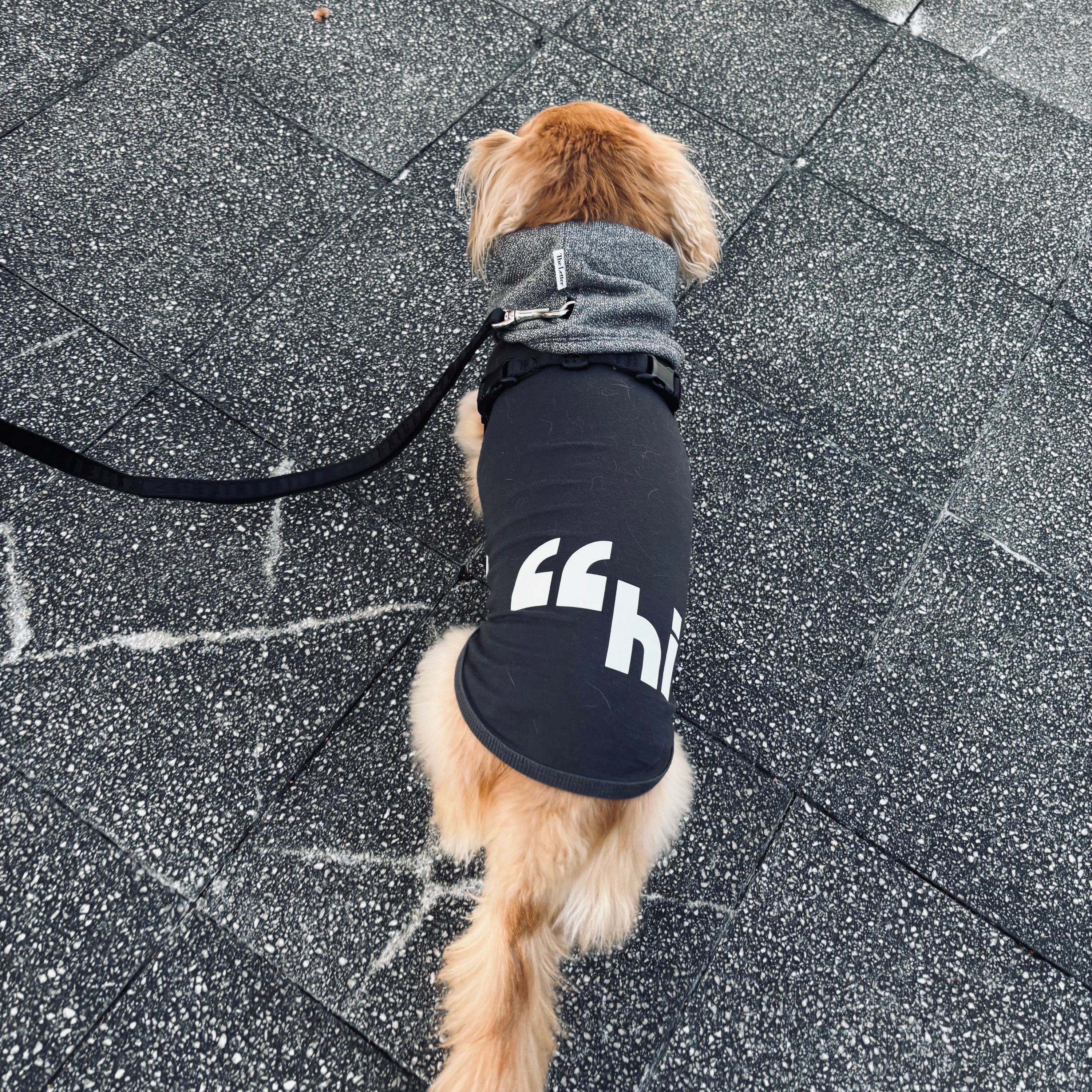 360 スーパーストレッチコットン裏毛”hi"蓄光T(ブラック/グレー)