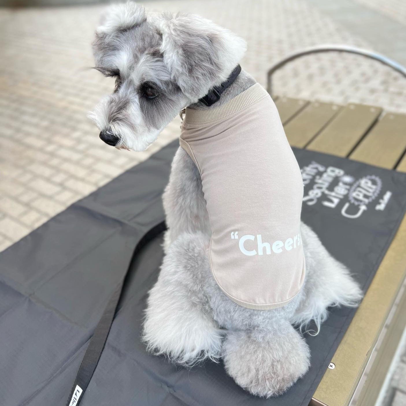 アウトラスト(機能素材)”Cheers!” T - The Letter
