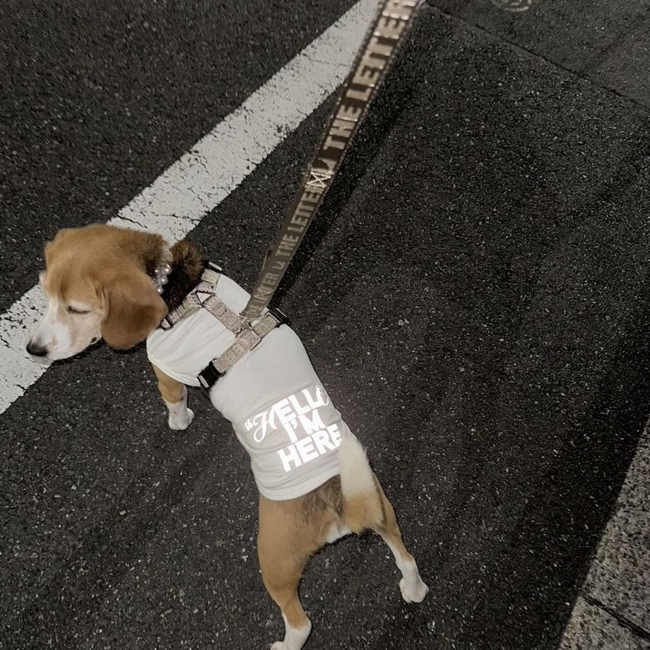 反射プリント アウトラスト(機能素材)”Hello I‘m Here“ T - The Letter