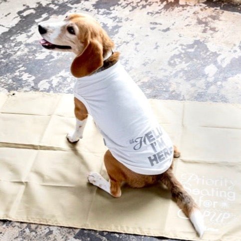 反射プリント アウトラスト(機能素材)”Hello I‘m Here“ T - The Letter