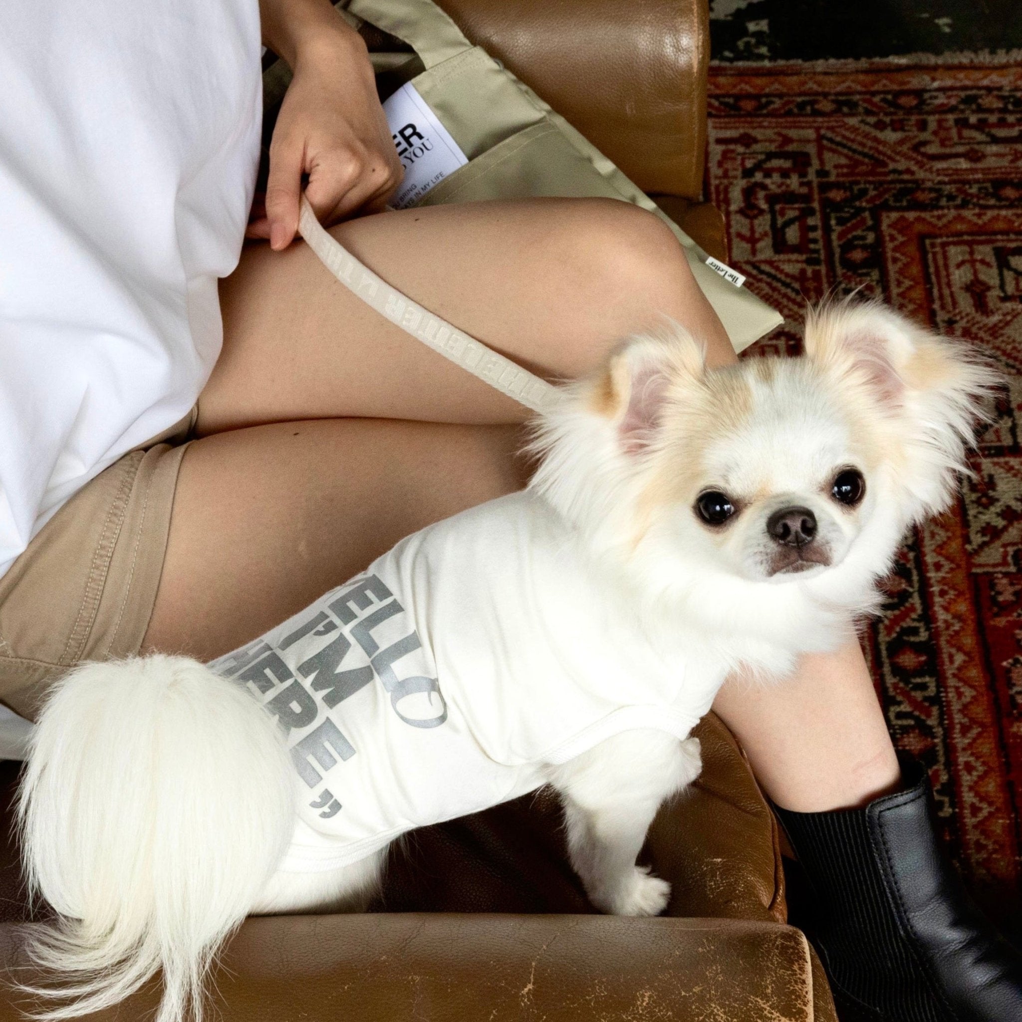 反射プリント アウトラスト(機能素材)”Hello I‘m Here“ T - The Letter