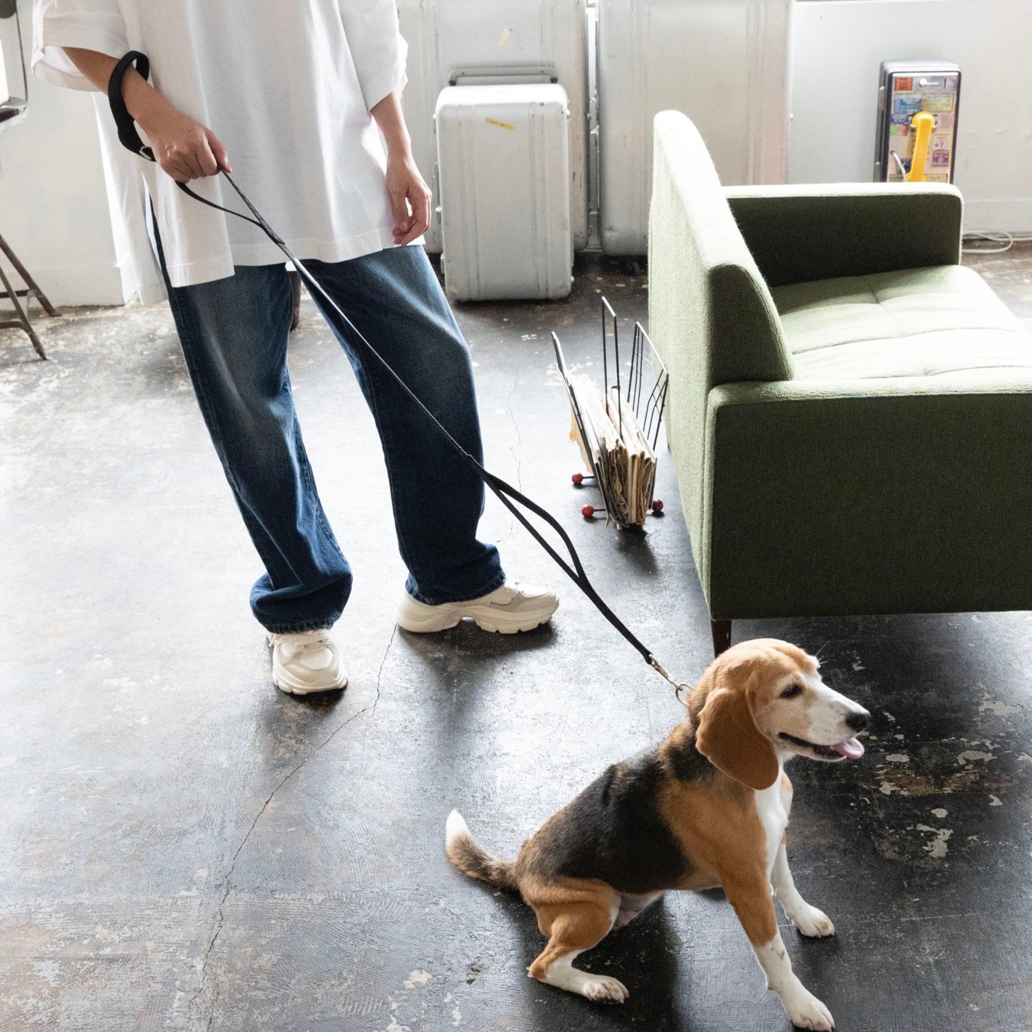 TL ガーディアンリード S(1.5cm)M(2cm)(バニラ、ラテ、ブラック、シルバーグレー) - The Letter