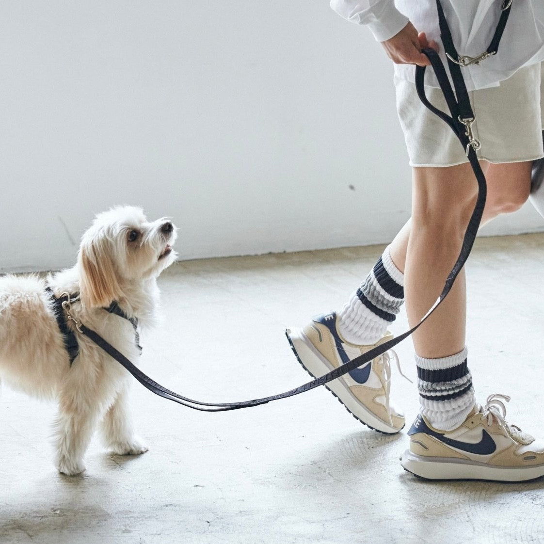 TL ガーディアンリード S(1.5cm)M(2cm)(バニラ、ラテ、ブラック、シルバーグレー) - The Letter