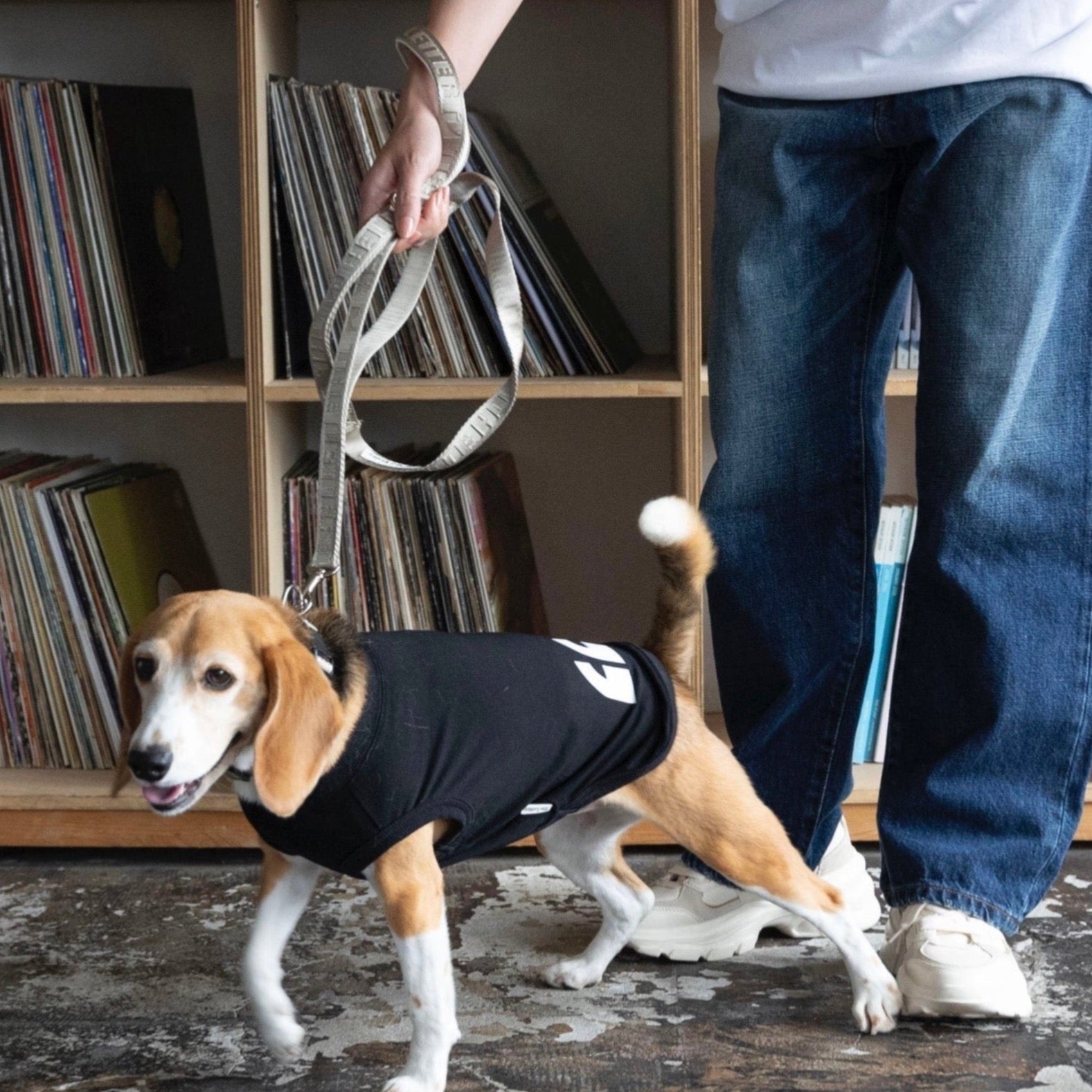 TL ガーディアンリード S(1.5cm)M(2cm)(バニラ、ラテ、ブラック、シルバーグレー) - The Letter