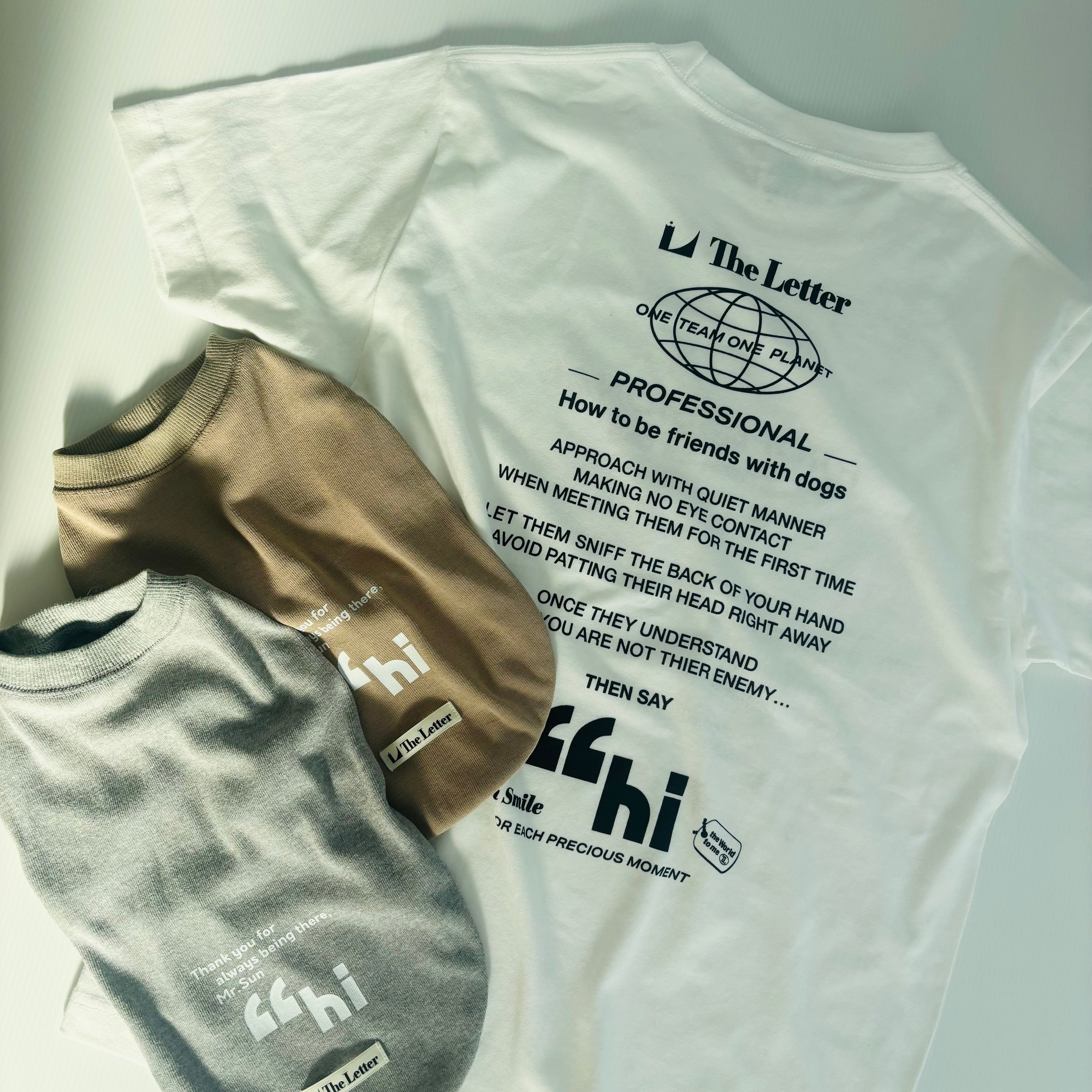 Professhional “hi オーナーズTシャツ