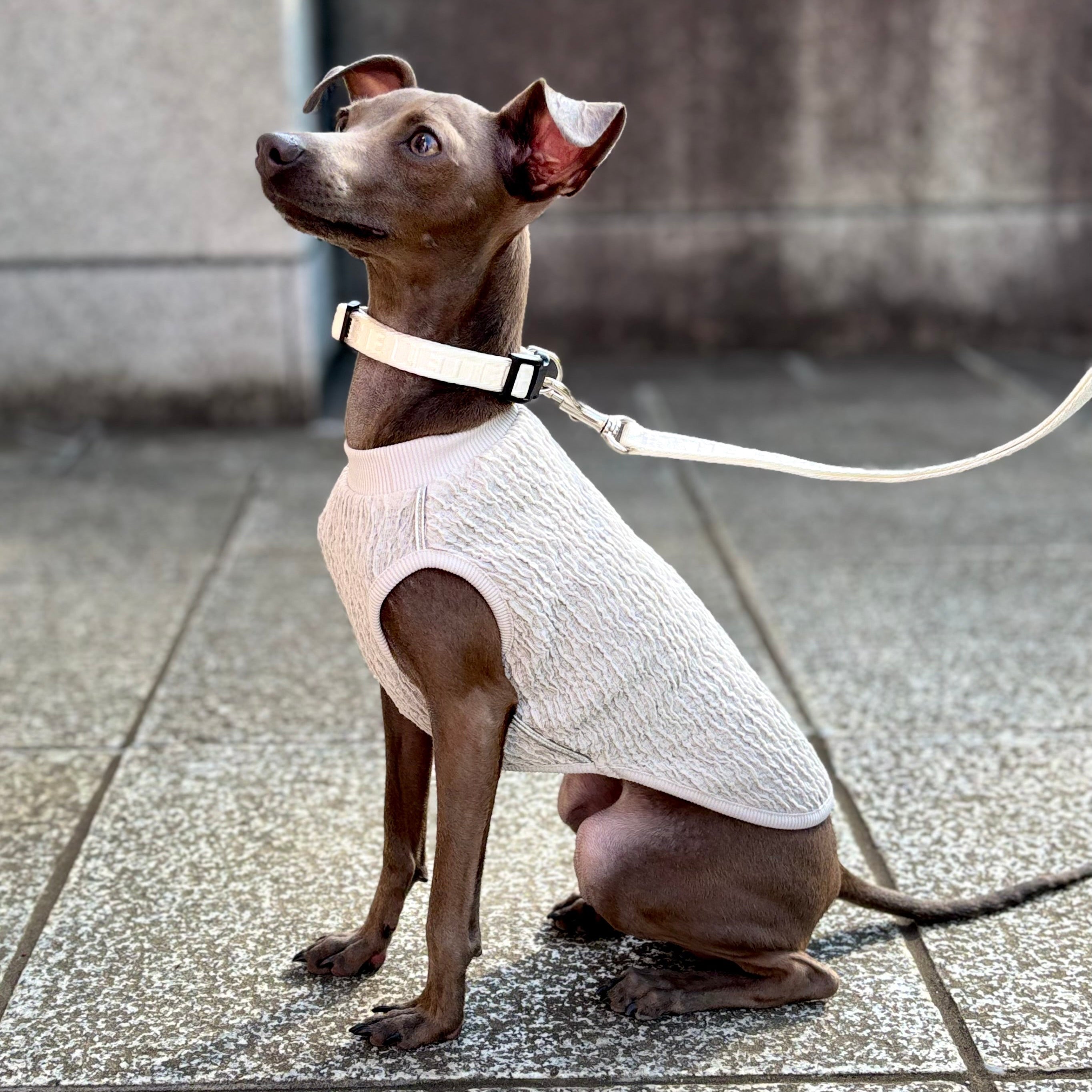 メタリックライン　ドレスライクT（ラベンダー/グレージュ/グリーン）