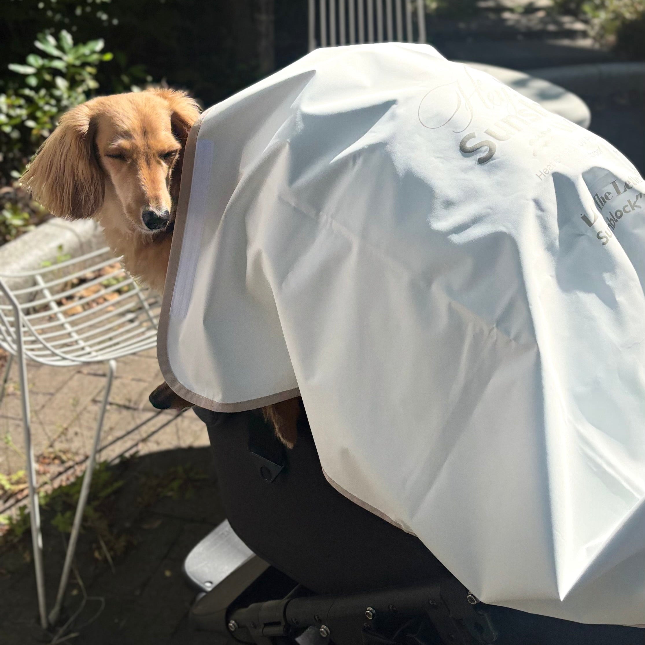 サンブロックおまもりクロス | 犬の日よけ・暑さ対策
