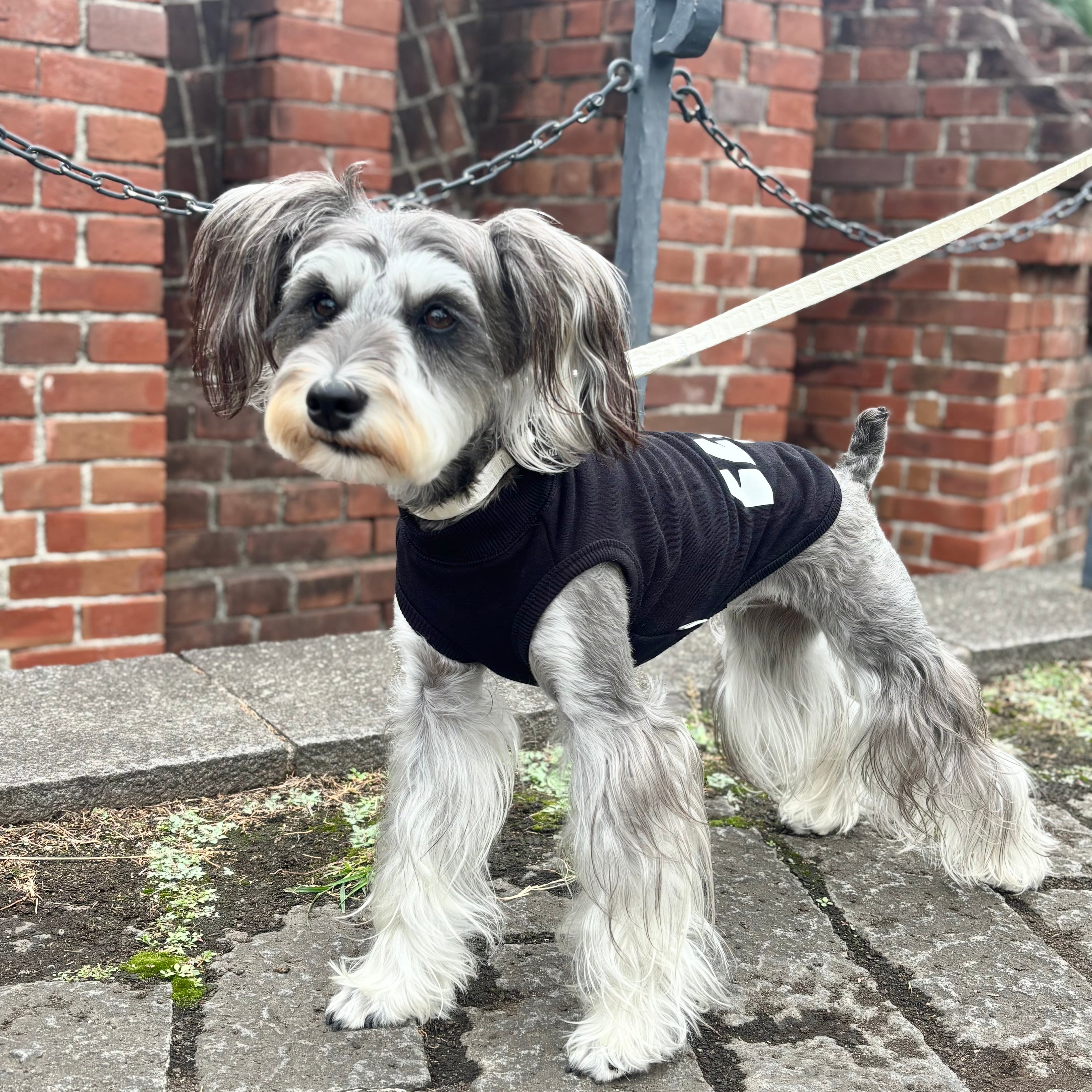 360 スーパーストレッチコットン裏毛”hi"蓄光T（ブラック/グレー）