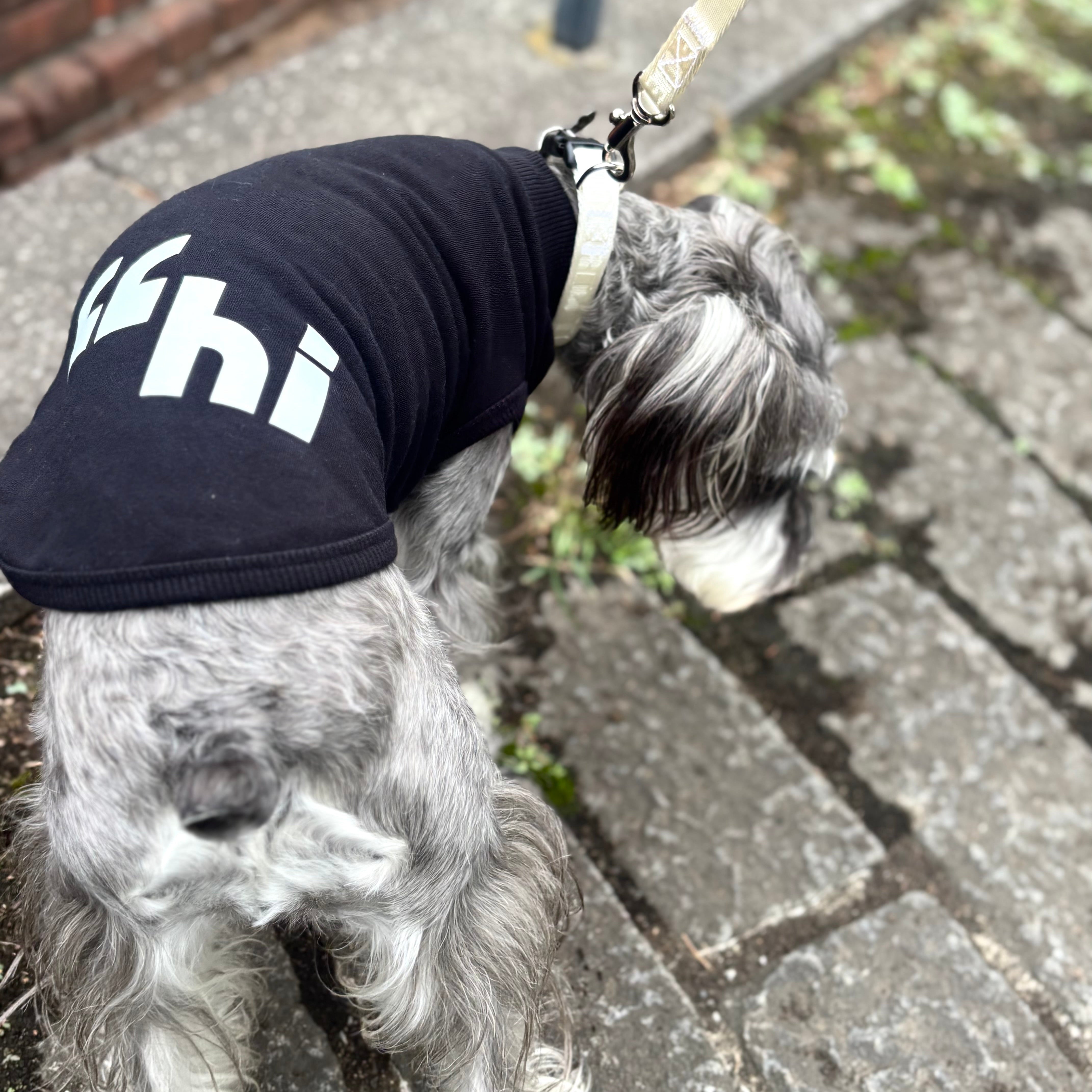 360 スーパーストレッチコットン裏毛”hi"蓄光T（ブラック/グレー）