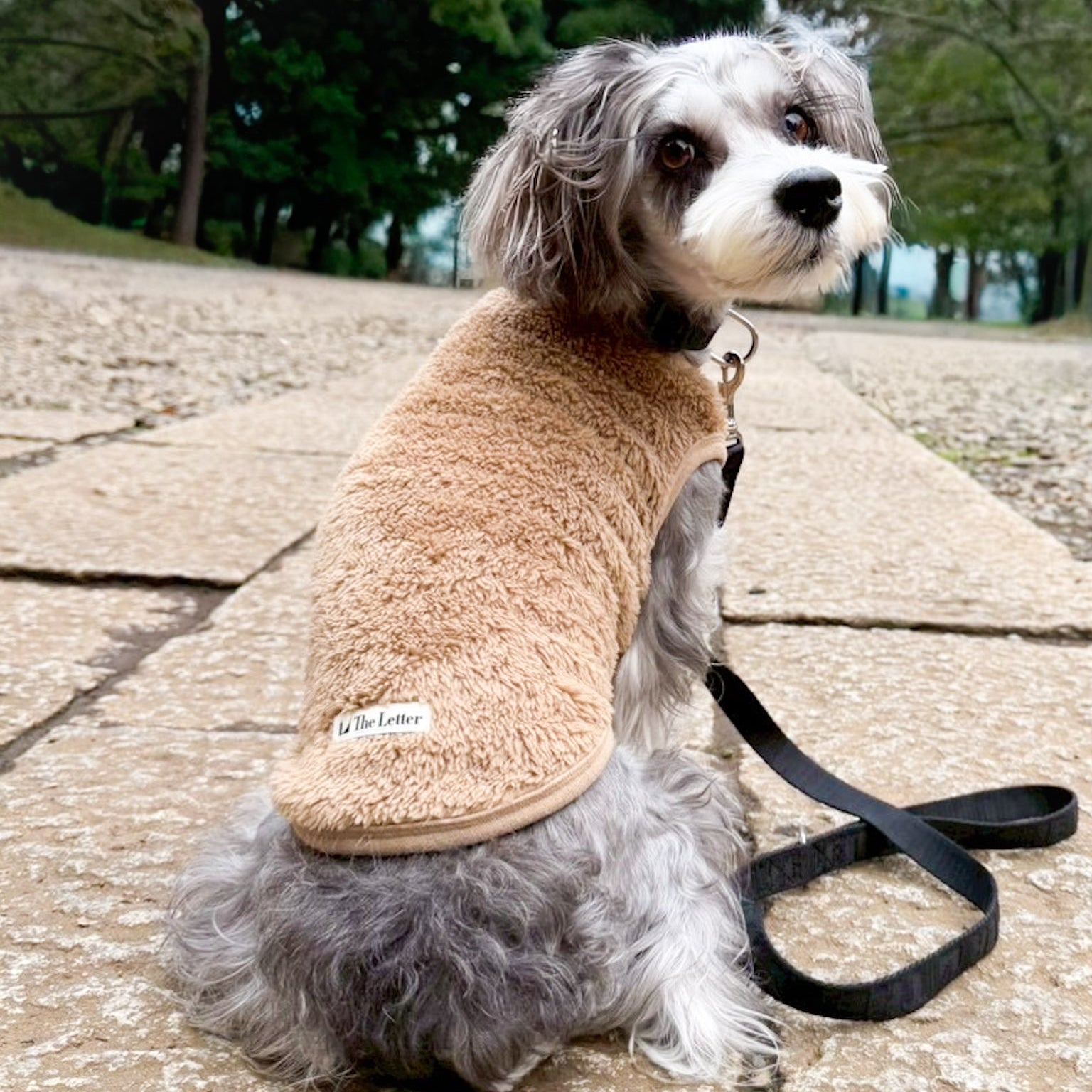 New ストレッチボアフリース T