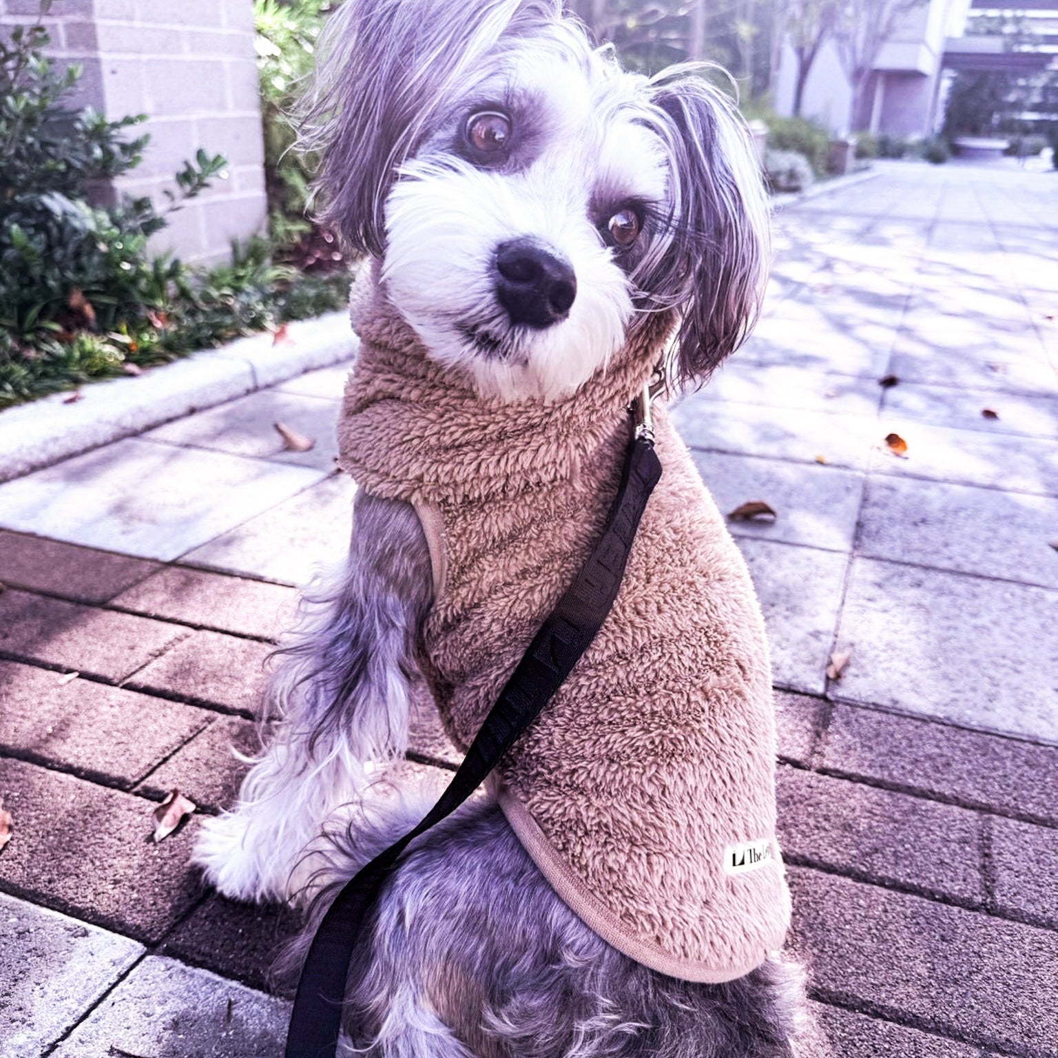 New ストレッチボアフリース T