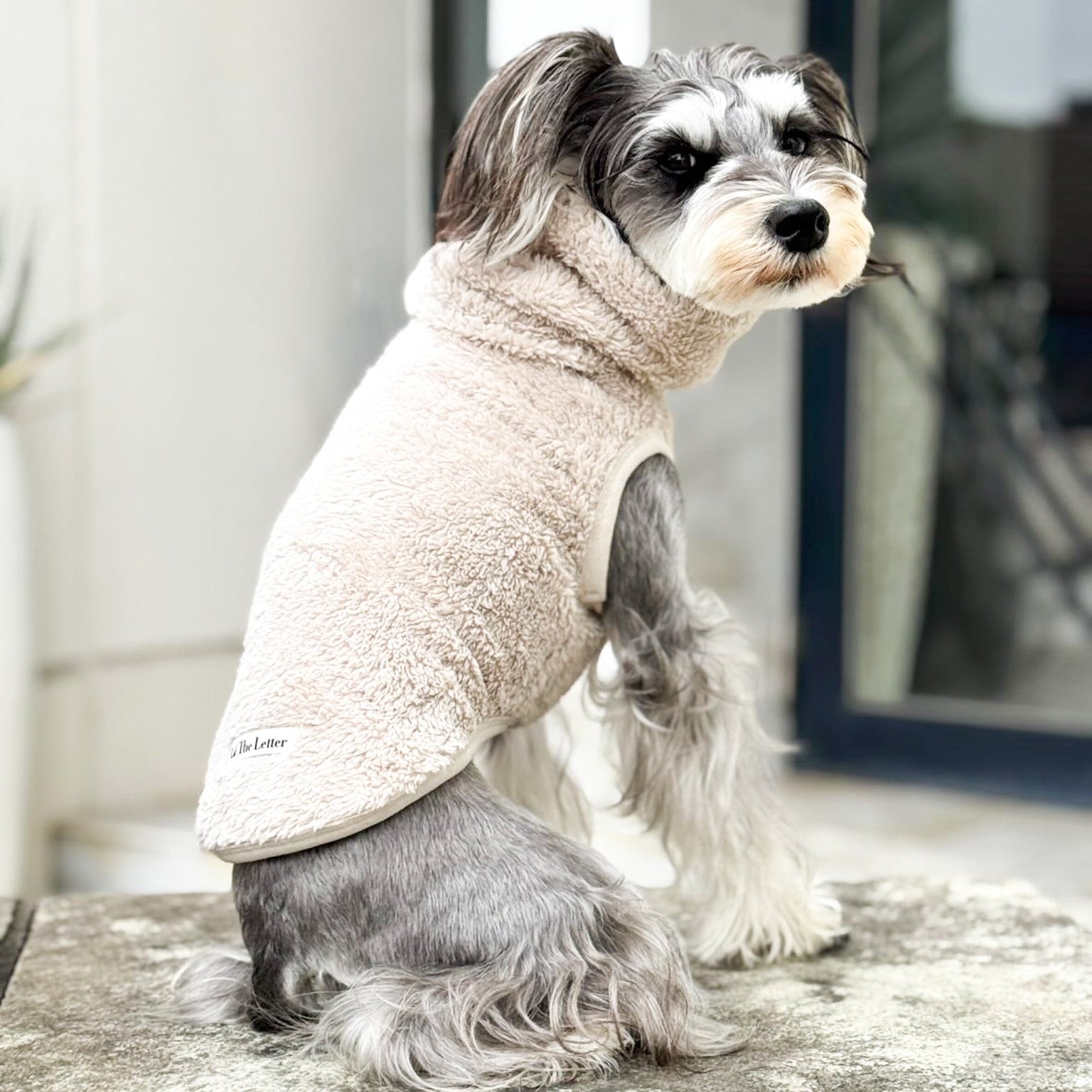 【さぽしぽすいまま】【USA古着】3点おまとめ New ストレッチボアフリース T