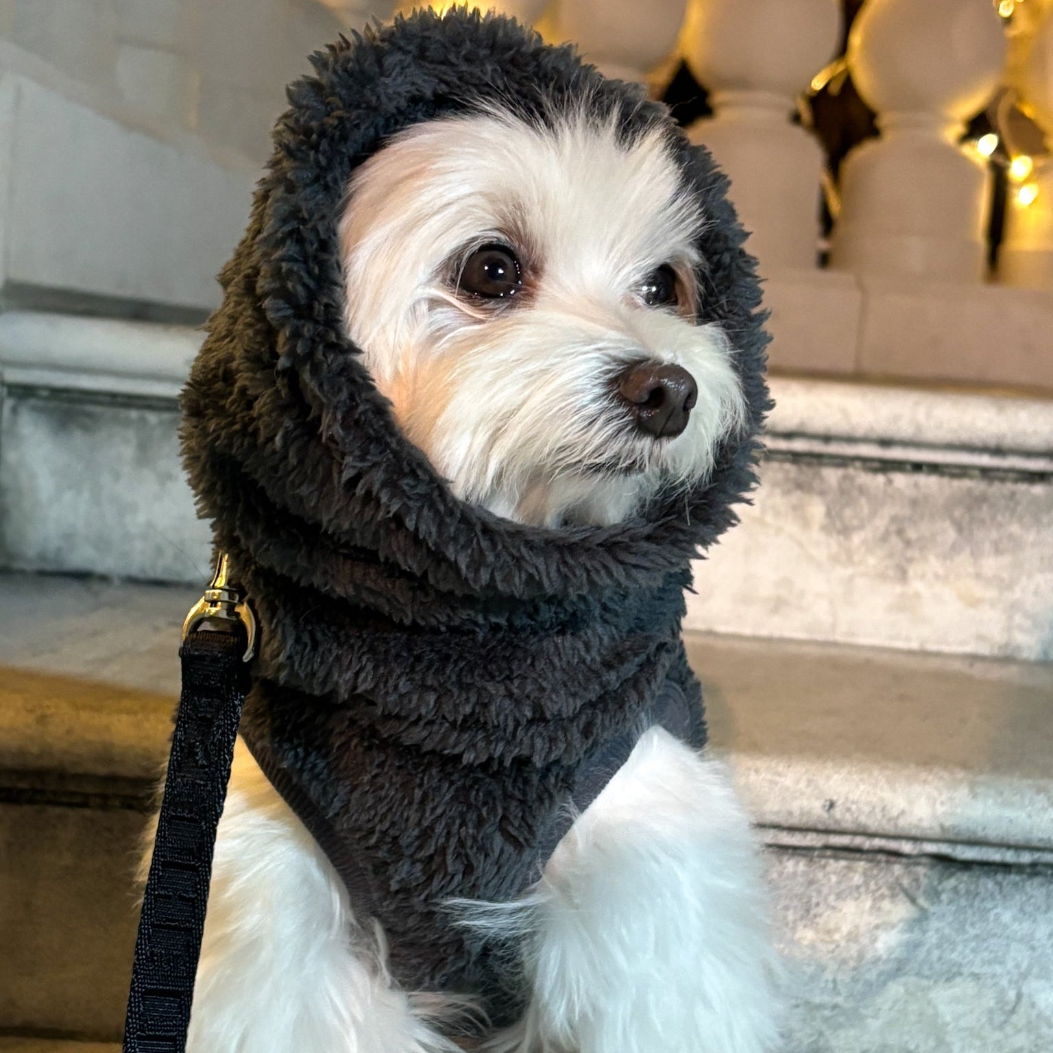 プレミアムBT ストレッチボアフリース スヌード（ブルーグレー/スノーホワイト）