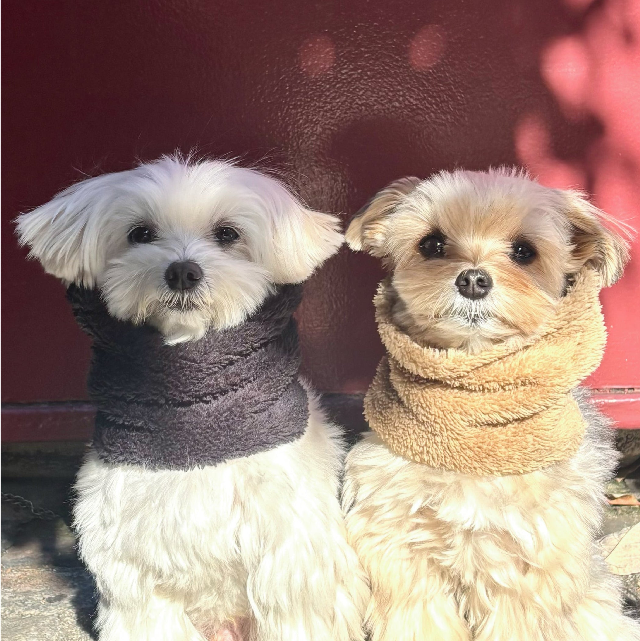 【すぬこです】MORROW enfas CLAIRE ボア 美品！ enfas CLAIRE - クレア キャンバス MORROW