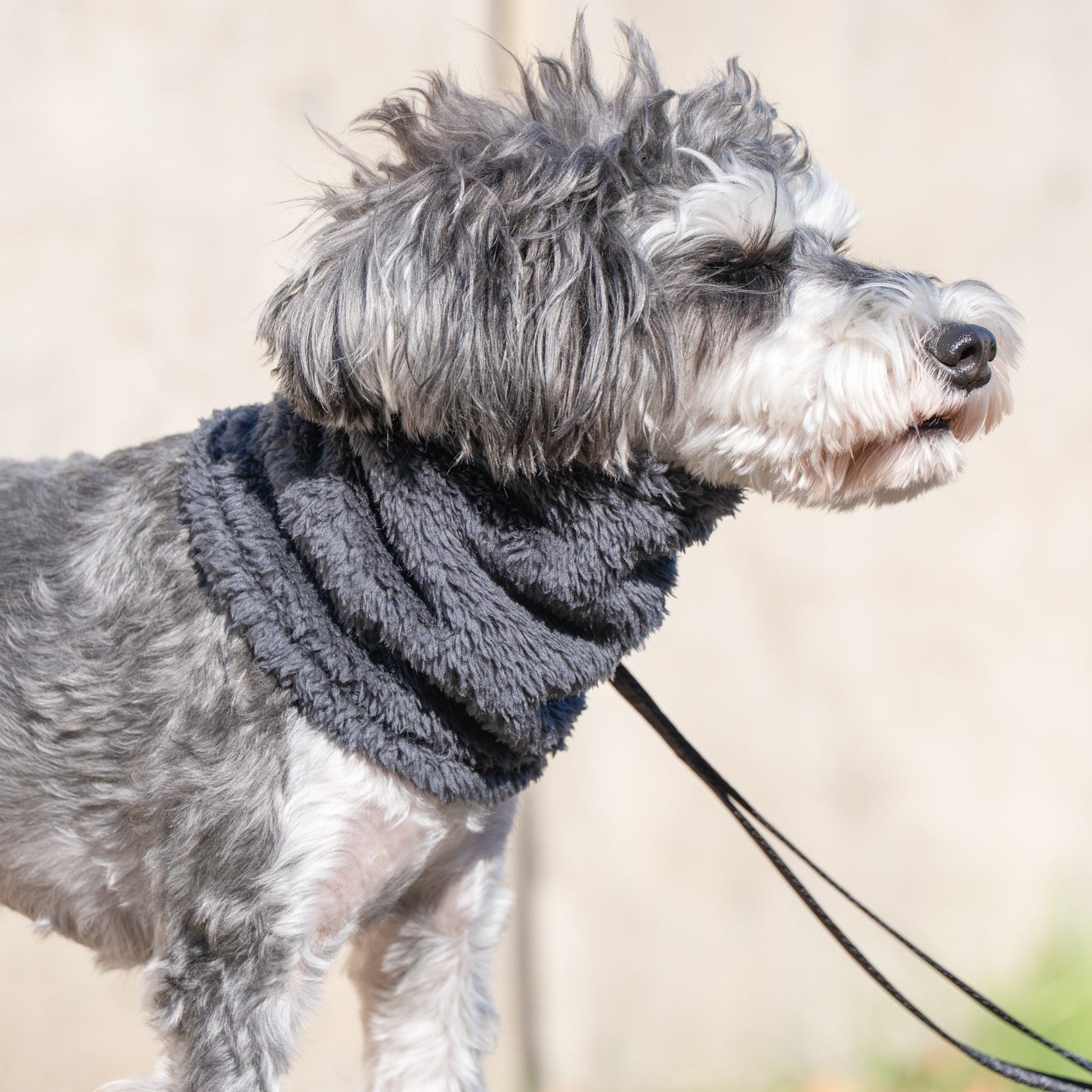 プレミアムBT ストレッチボアフリース スヌード（ブルーグレー/スノーホワイト）