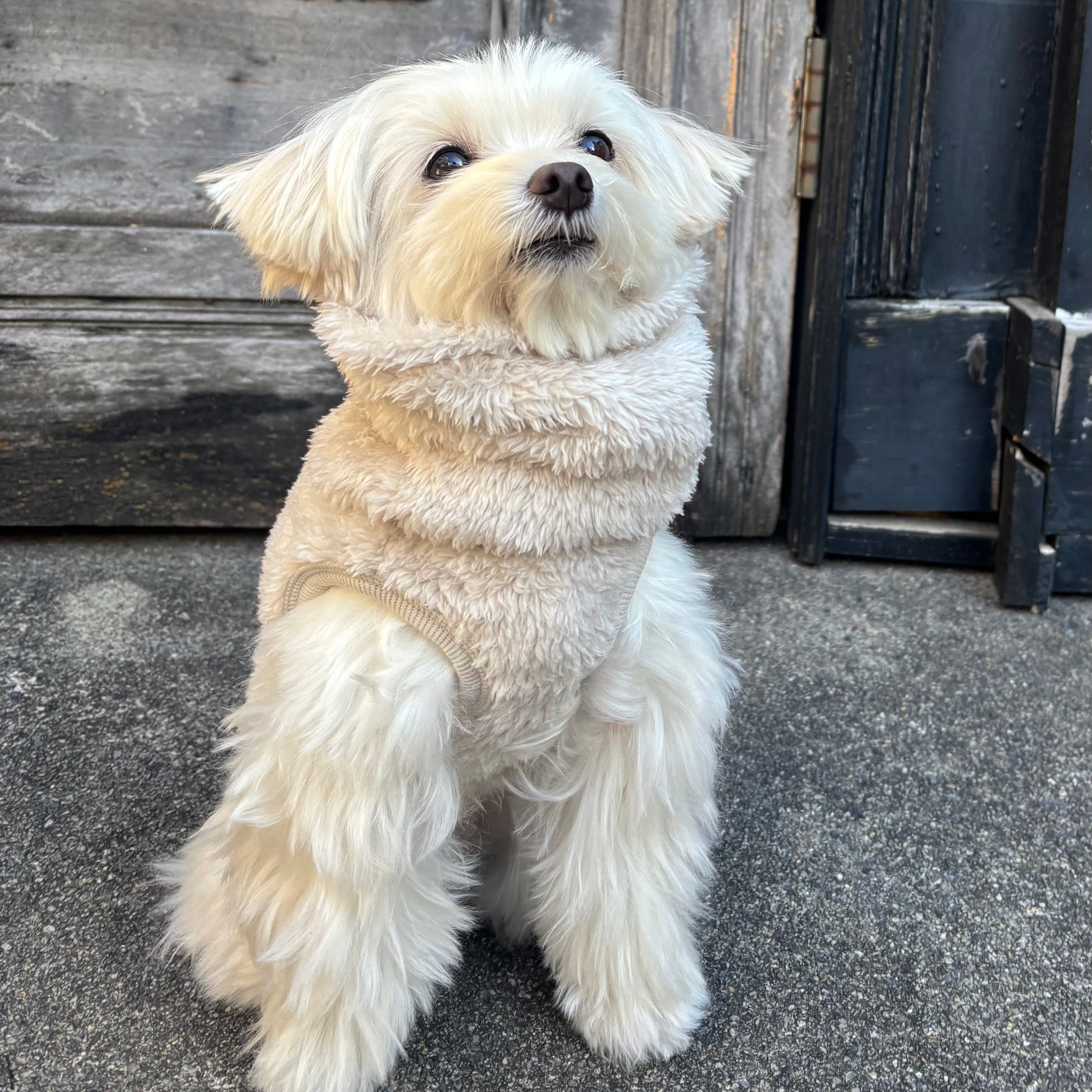 プレミアムBT ストレッチボアフリース T（ブルーグレー/スノーホワイト）