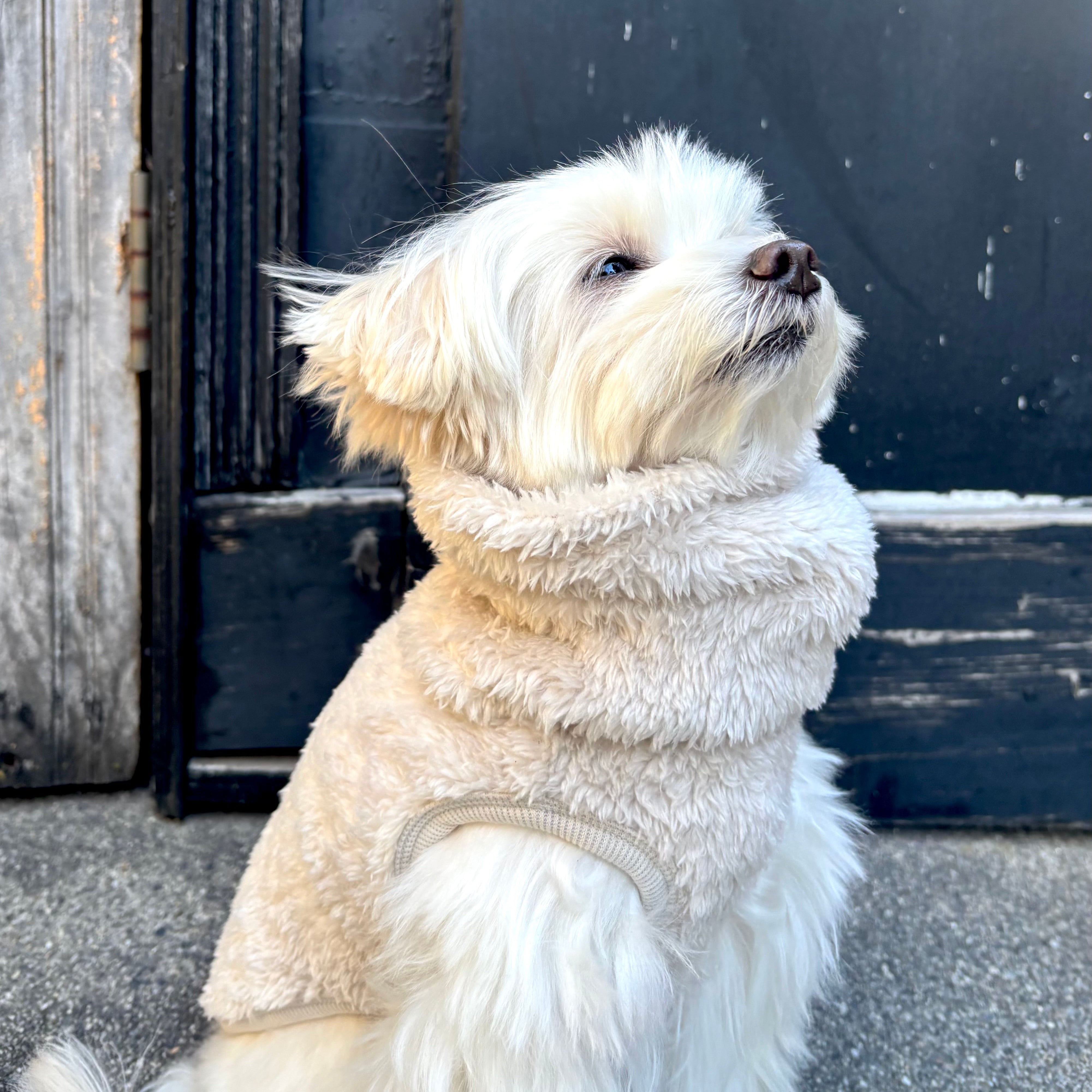 プレミアムBT ストレッチボアフリース スヌード（ブルーグレー/スノーホワイト）